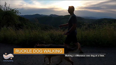 Ruckle dog walking